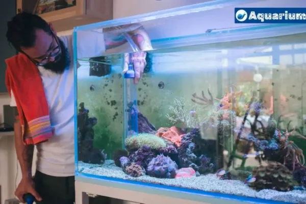 What Is The Best Glass Thickness for Aquarium?
