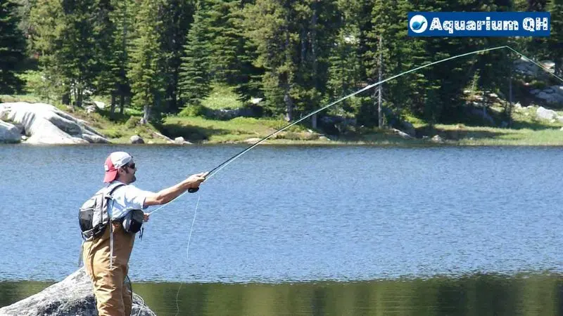 How Many Fishing Rods per Person in Arizona?