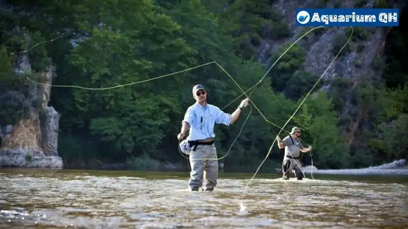 How Many Fishing Rods per Person in Arizona?