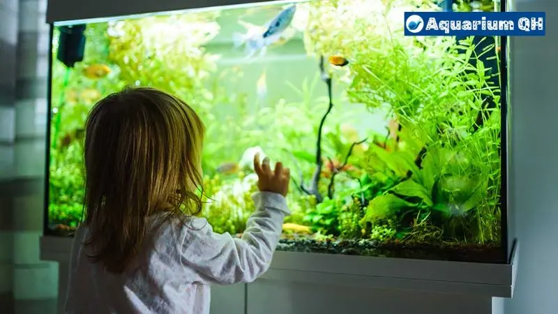 Best Glass Thickness for Aquarium