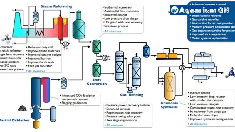 How To Fix Ammonia Not Converting to Nitrite?