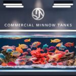 The Ultimate Guide to Commercial Minnow Tanks Setting Up Your Own Fish Farm
